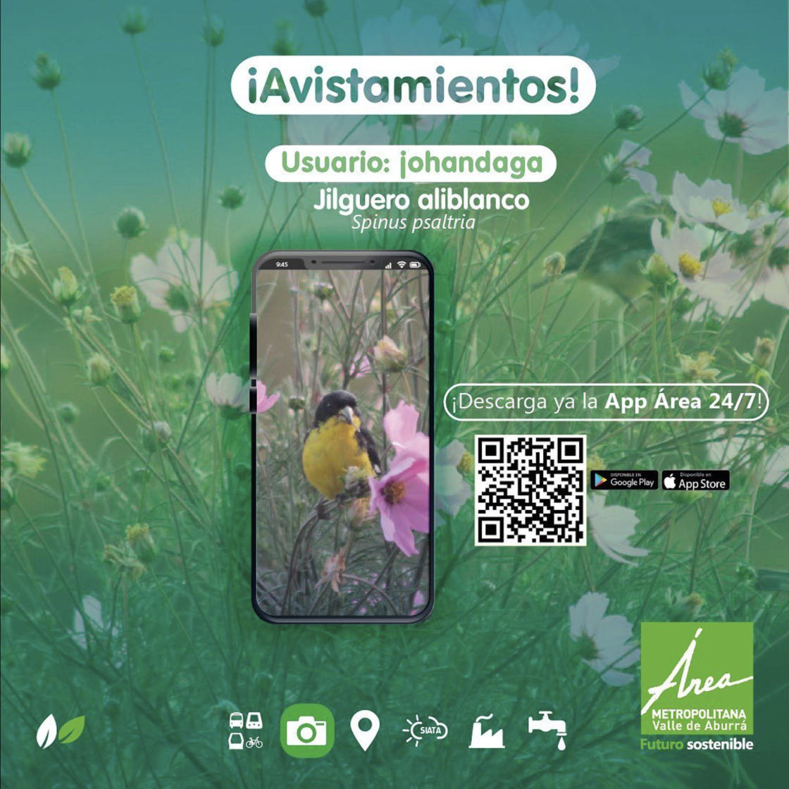 App Área 24/7